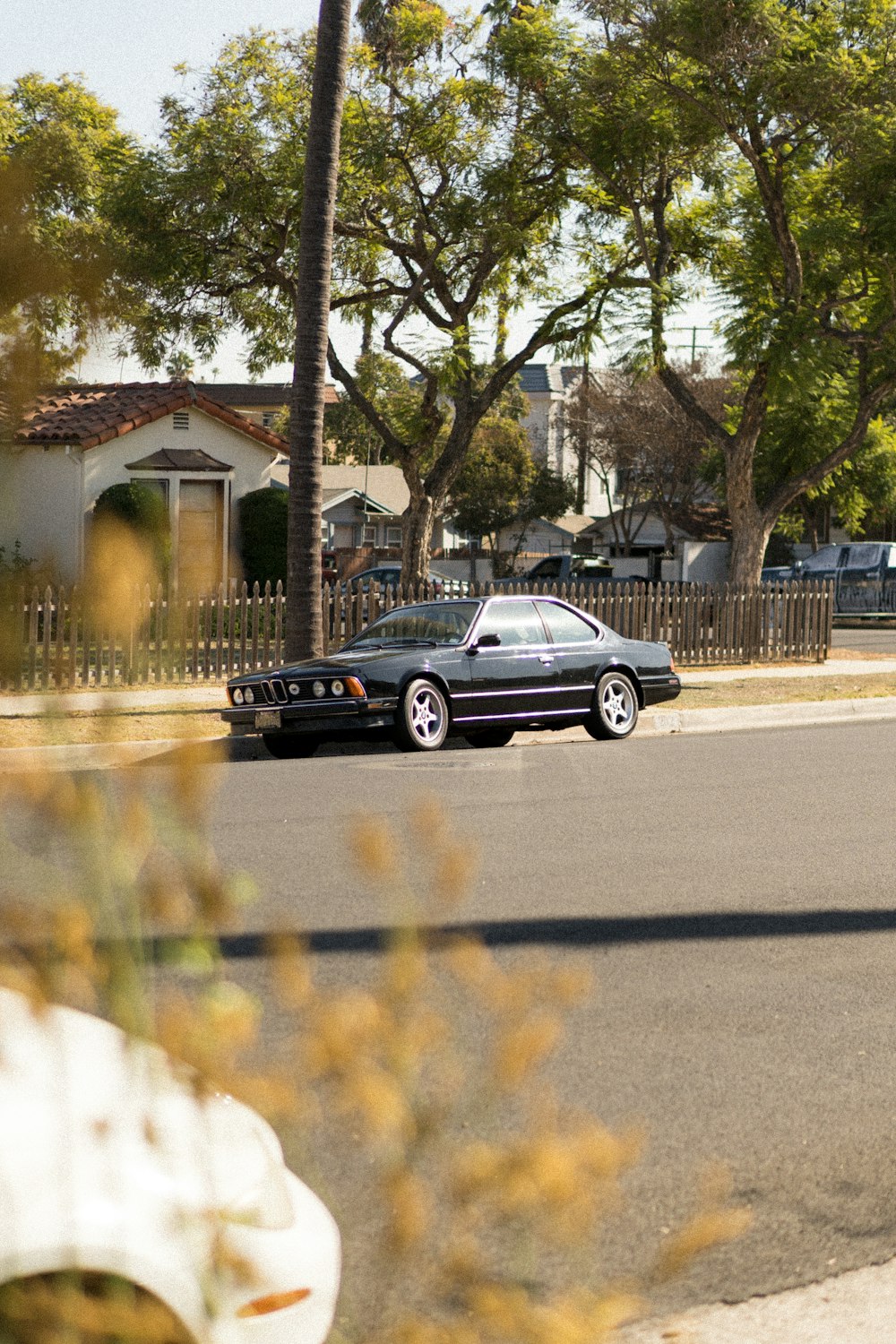 black sedan parked near green tree during daytime