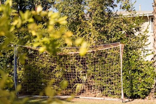 A soccer goal stands amidst a lush, green garden, surrounded by trees and bushes. Sunlight creates dappled shadows on the grass and the goal net, adding a warm and inviting atmosphere.