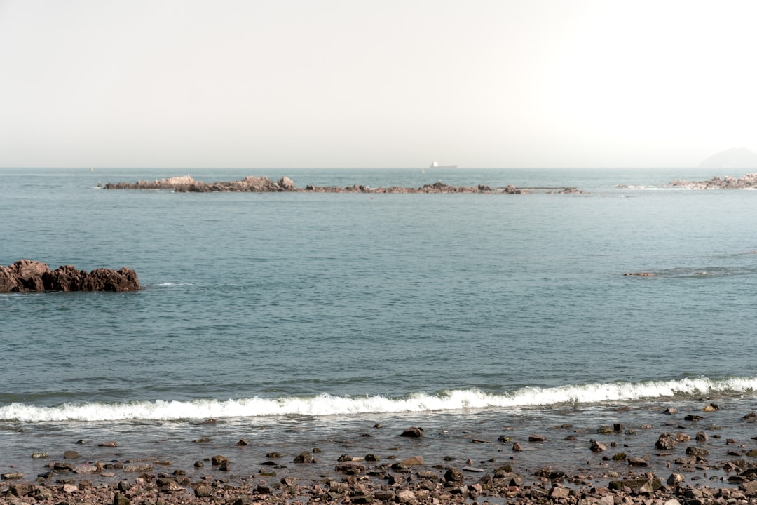 people swimming on sea during daytime