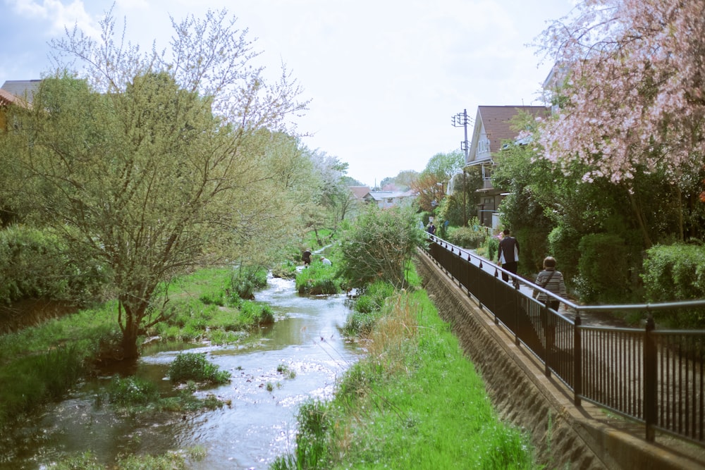 river between green trees and brown wooden fence during daytime