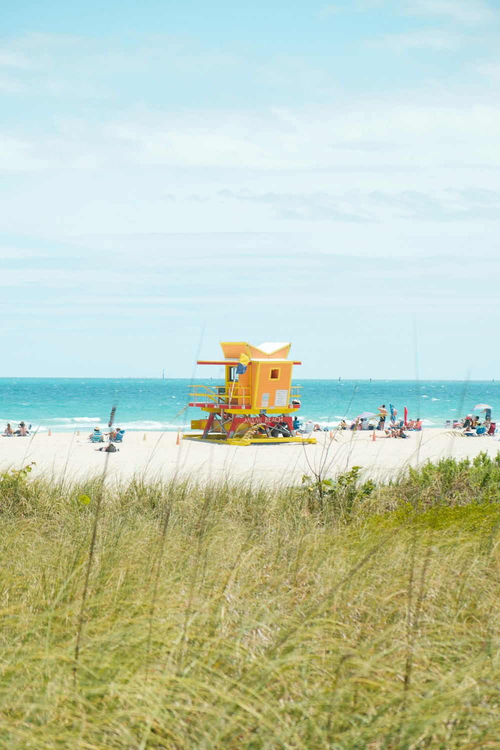 people on beach during daytime