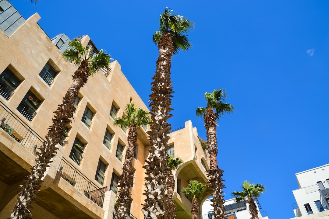 green palm tree near beige concrete building