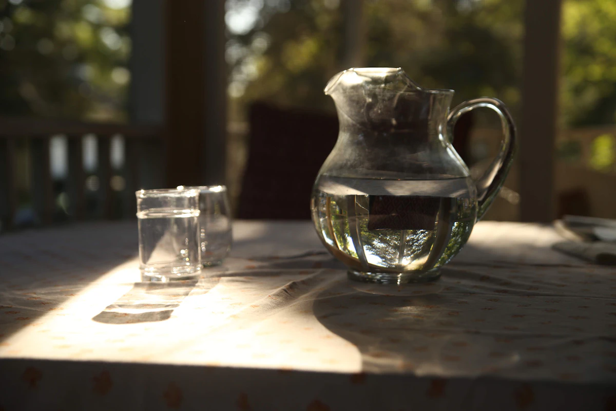 Glass water pitcher and tumbler of filtered water in daylight