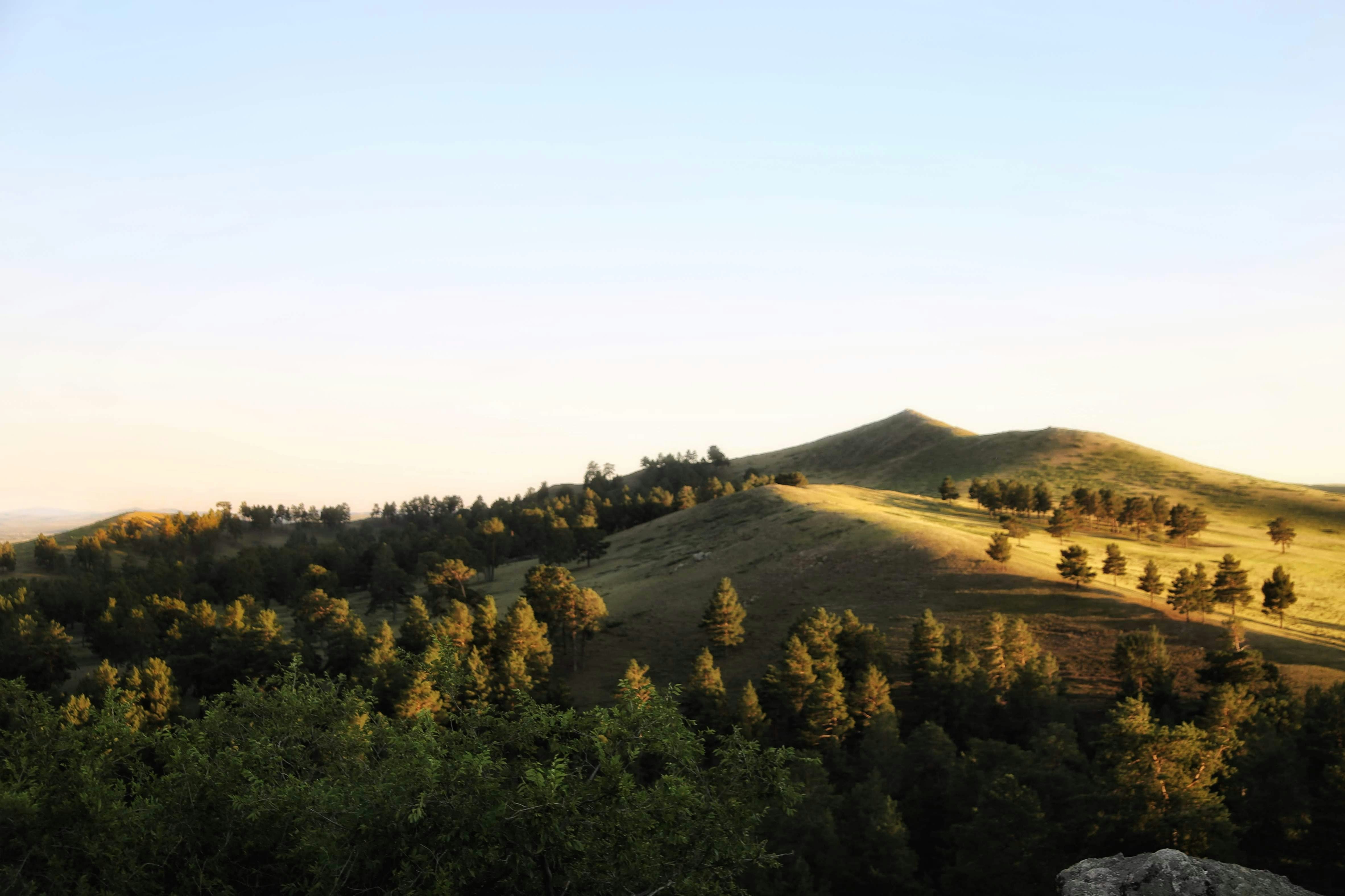 green trees on mountain during daytime, 