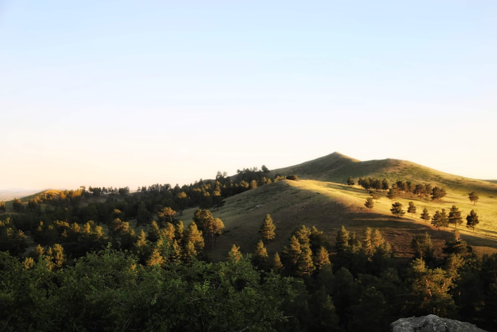 green trees on mountain during daytime