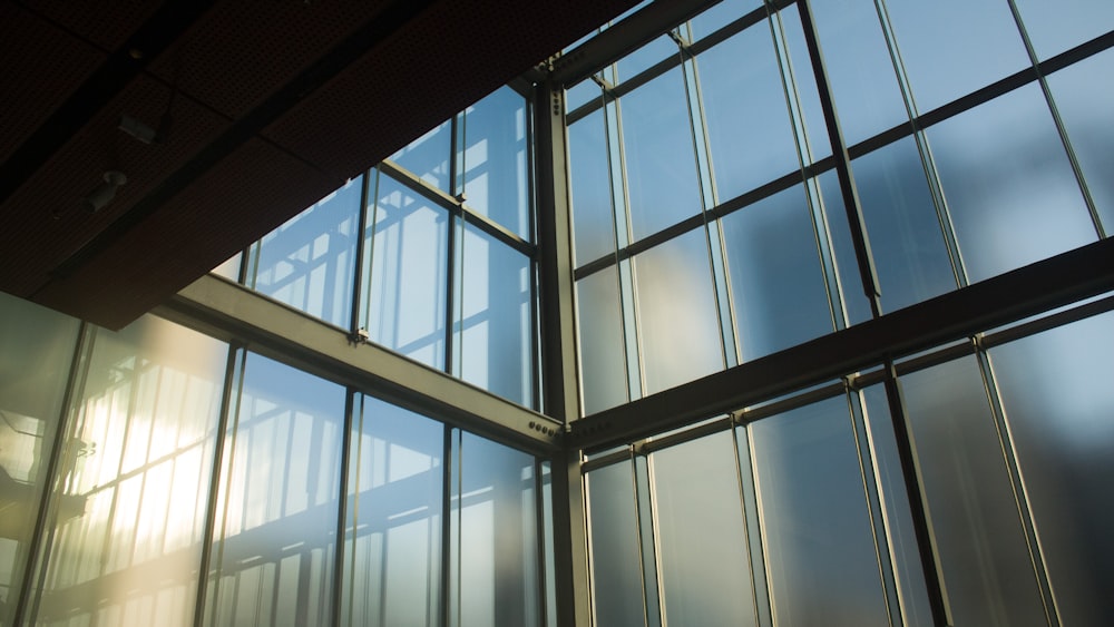 white metal framed glass window