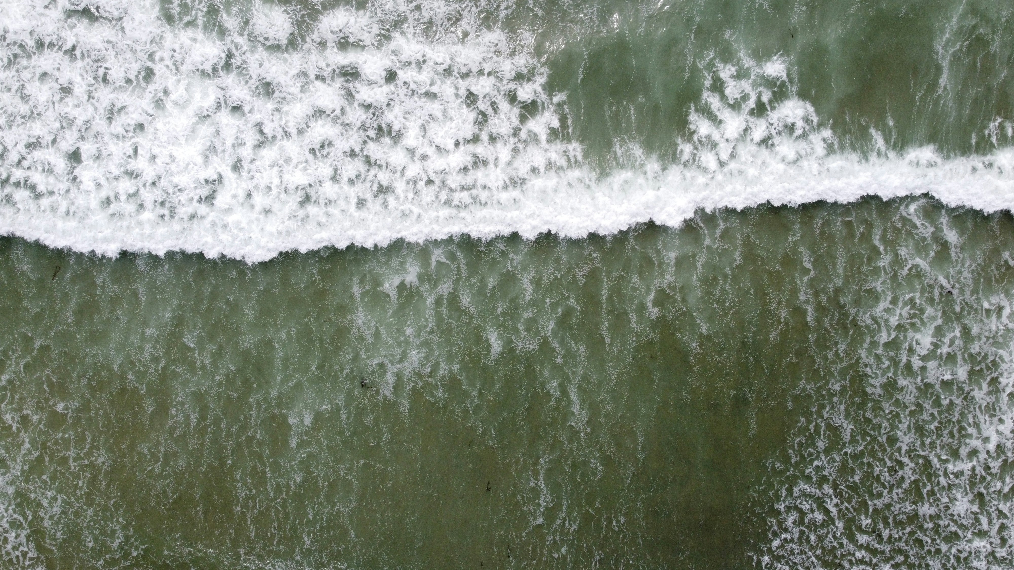 Photo by josuemichelphotography