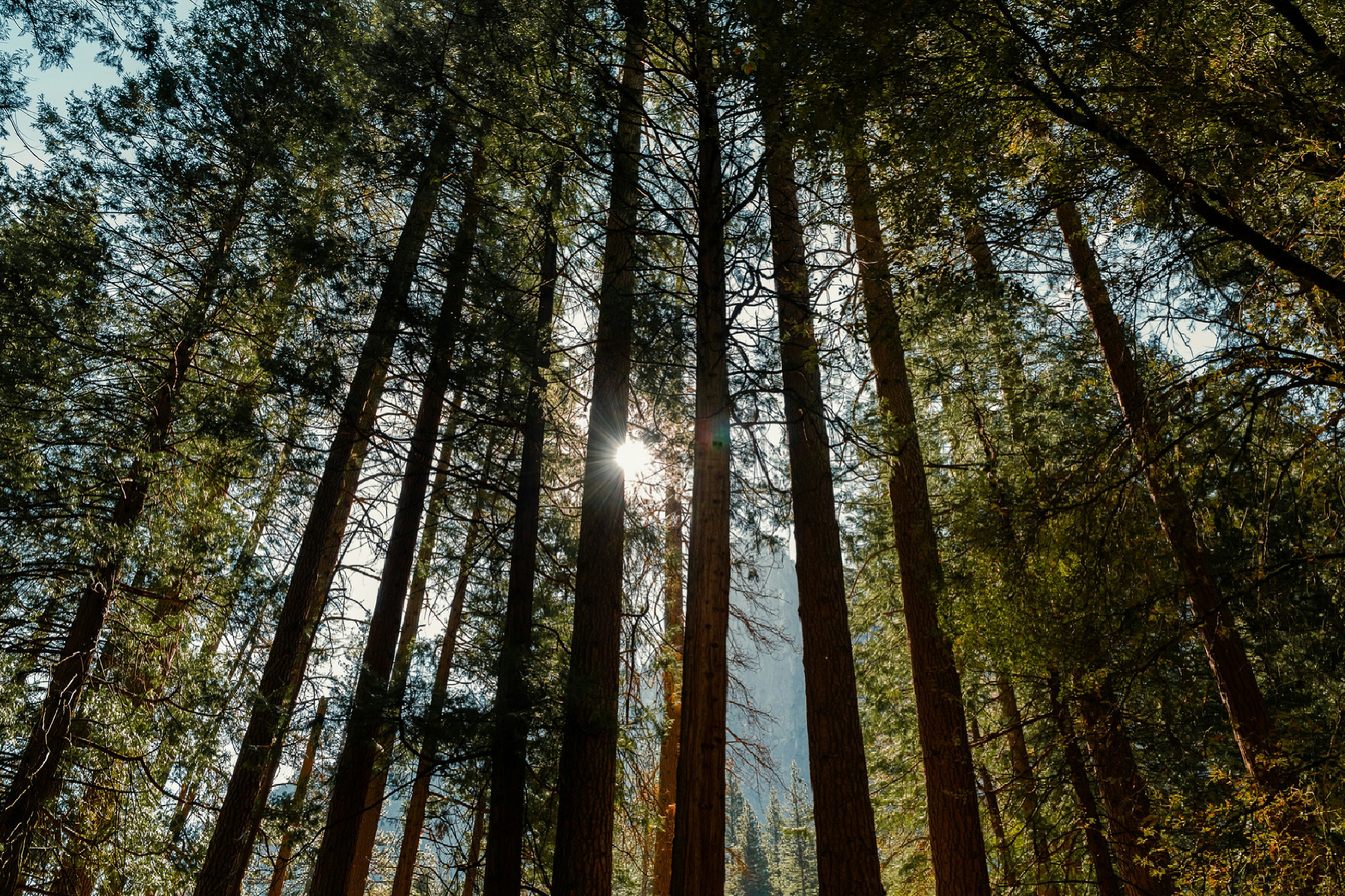 Photo by lazrodriguez__