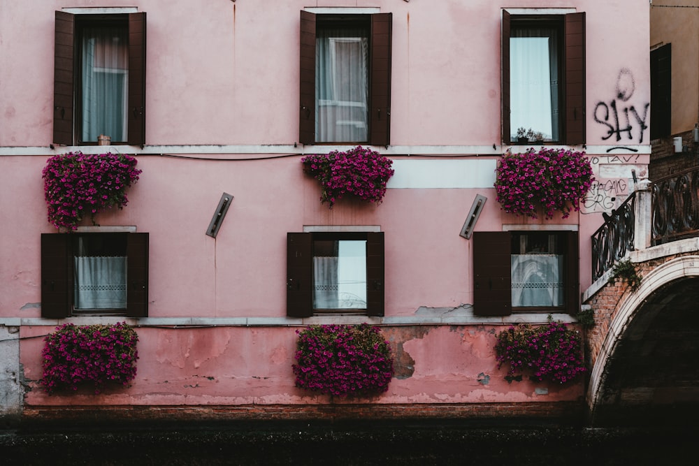 rote Blumen auf rotem Betongebäude