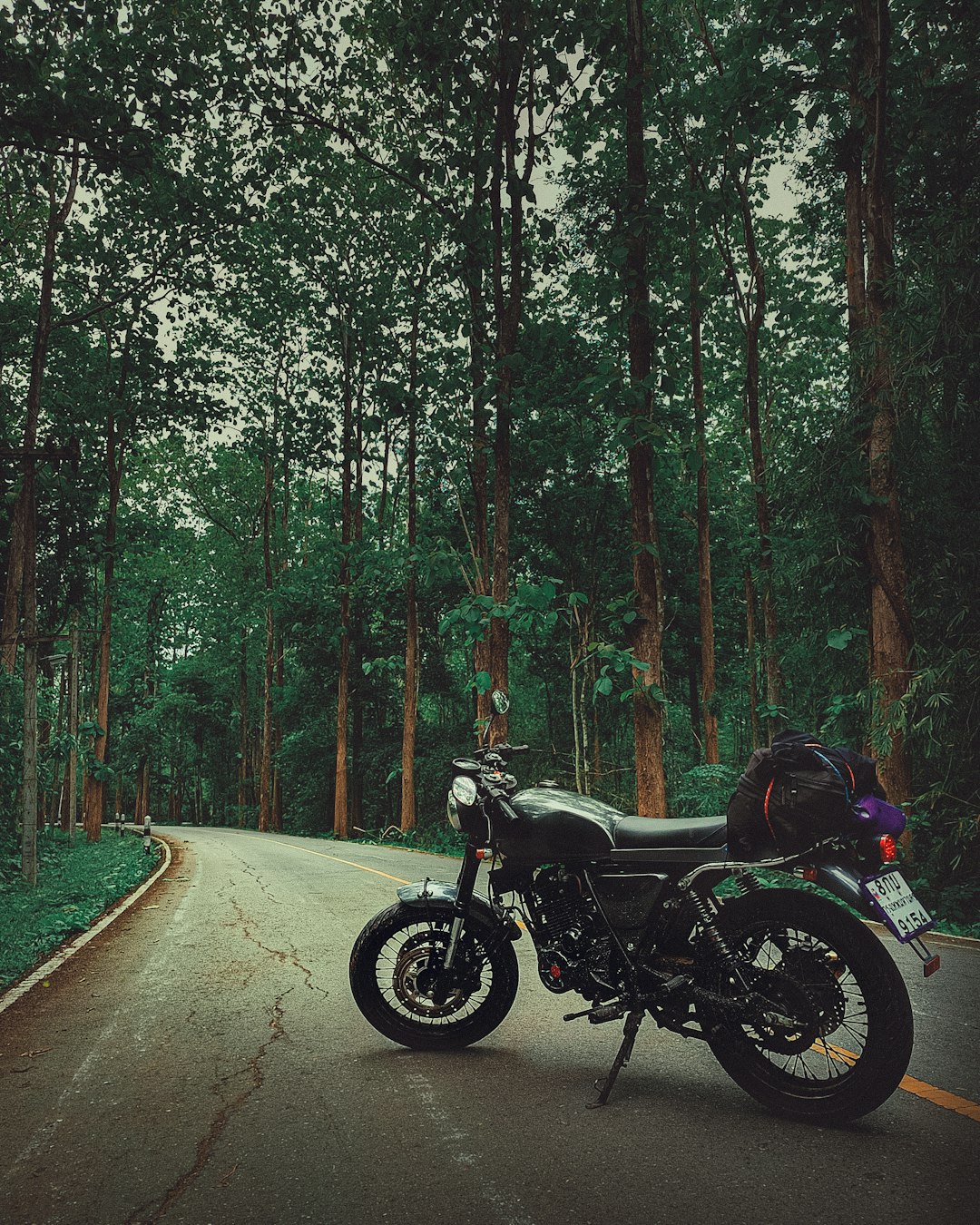 black motorcycle on road surrounded by trees during daytime