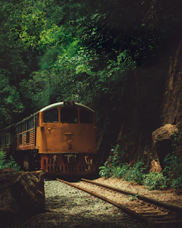A sleek, comfortable travelling orangutan coach driving through a lush green forest road at sunrise.