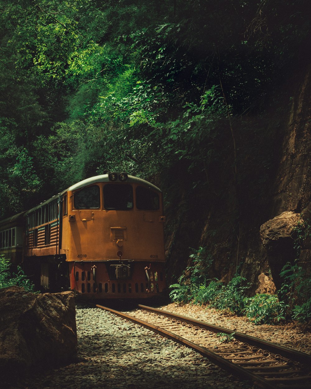 Tren amarillo en medio del bosque