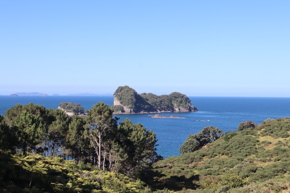 árvores verdes na montanha perto do mar durante o dia