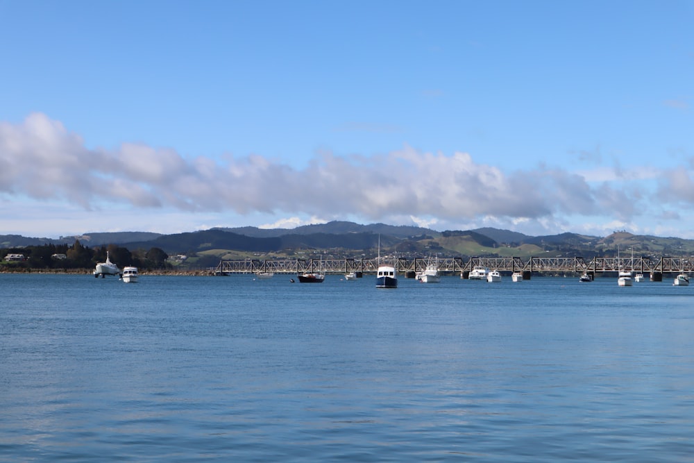 white and black buildings near body of water under blue sky during daytime