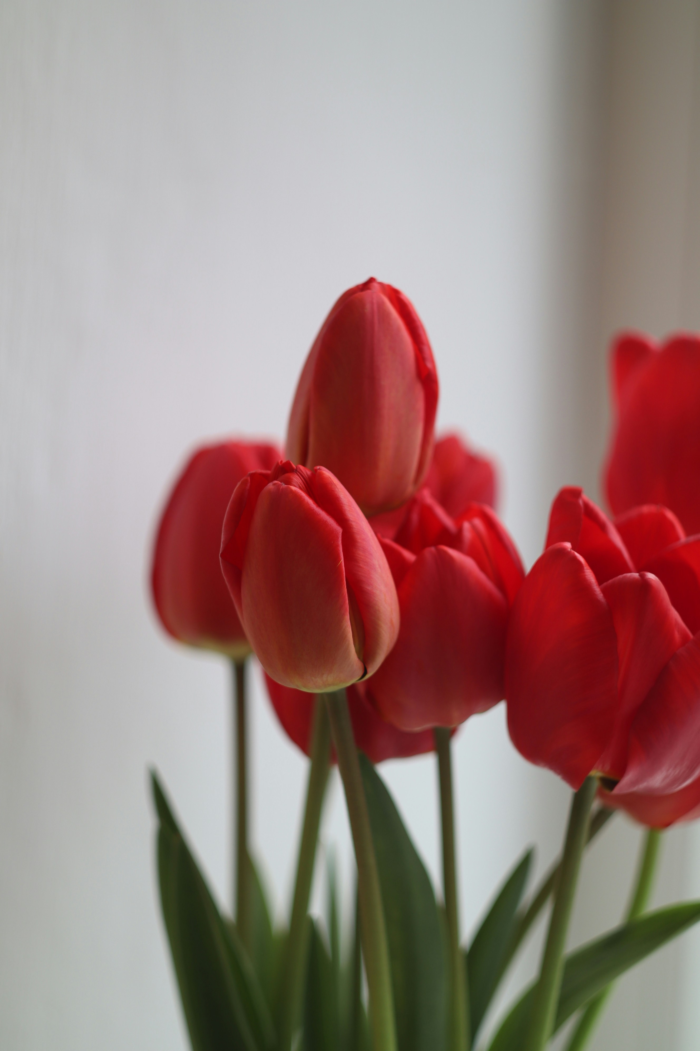 Photo by feeling_hope