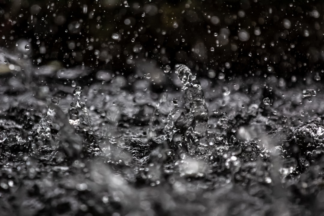 water splash in close up photography