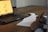 A person studying sports statistics on a laptop with a notepad and pen beside them.