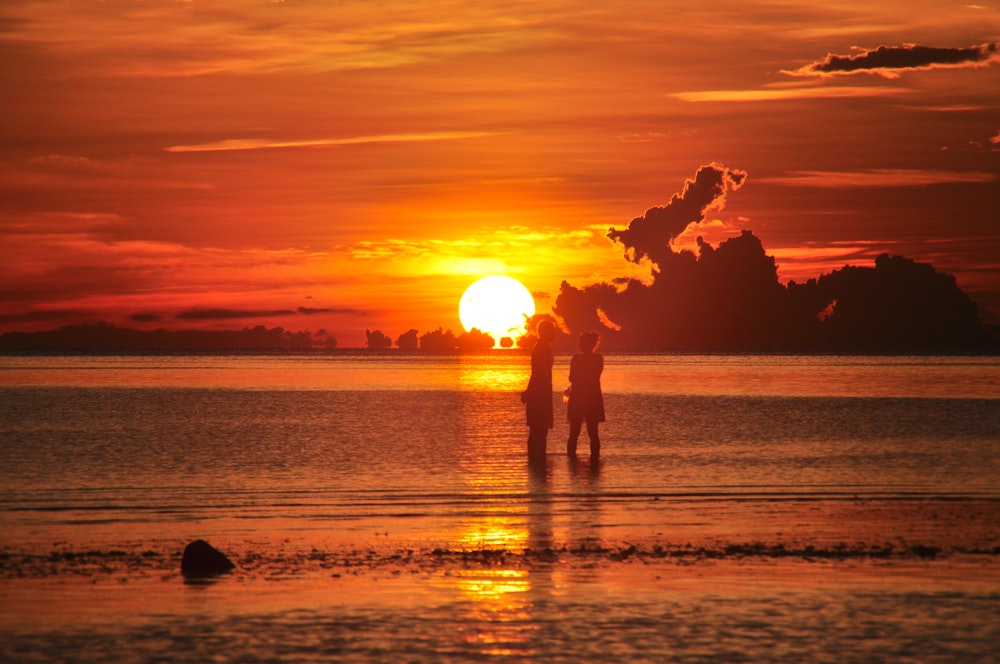 silhouette of 2 people standing on beach during sunset