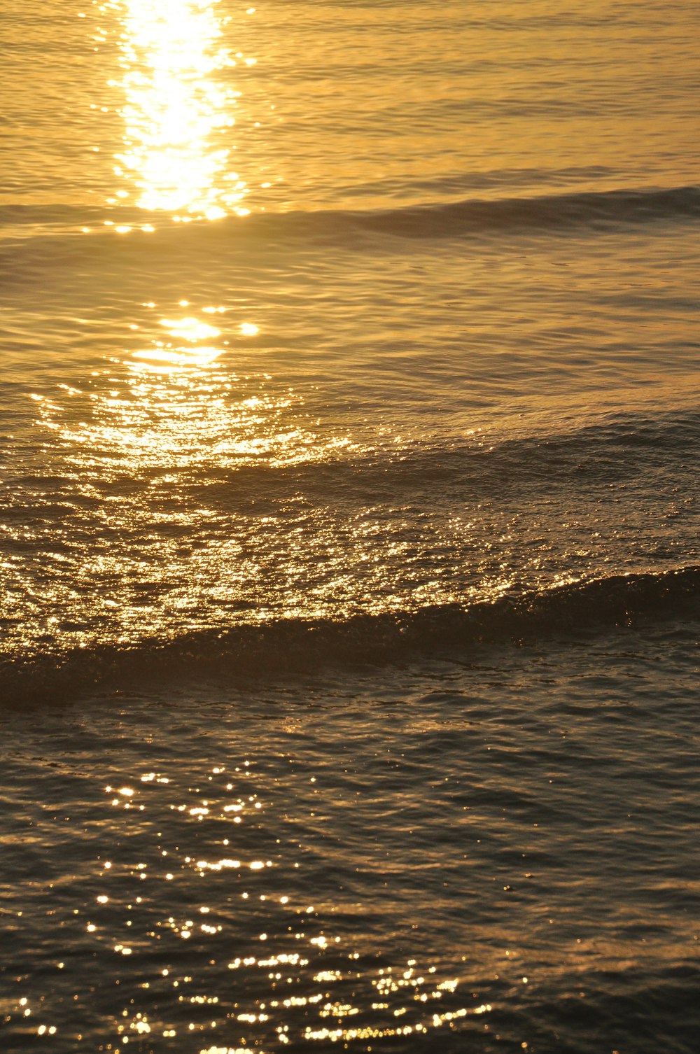 body of water during sunset