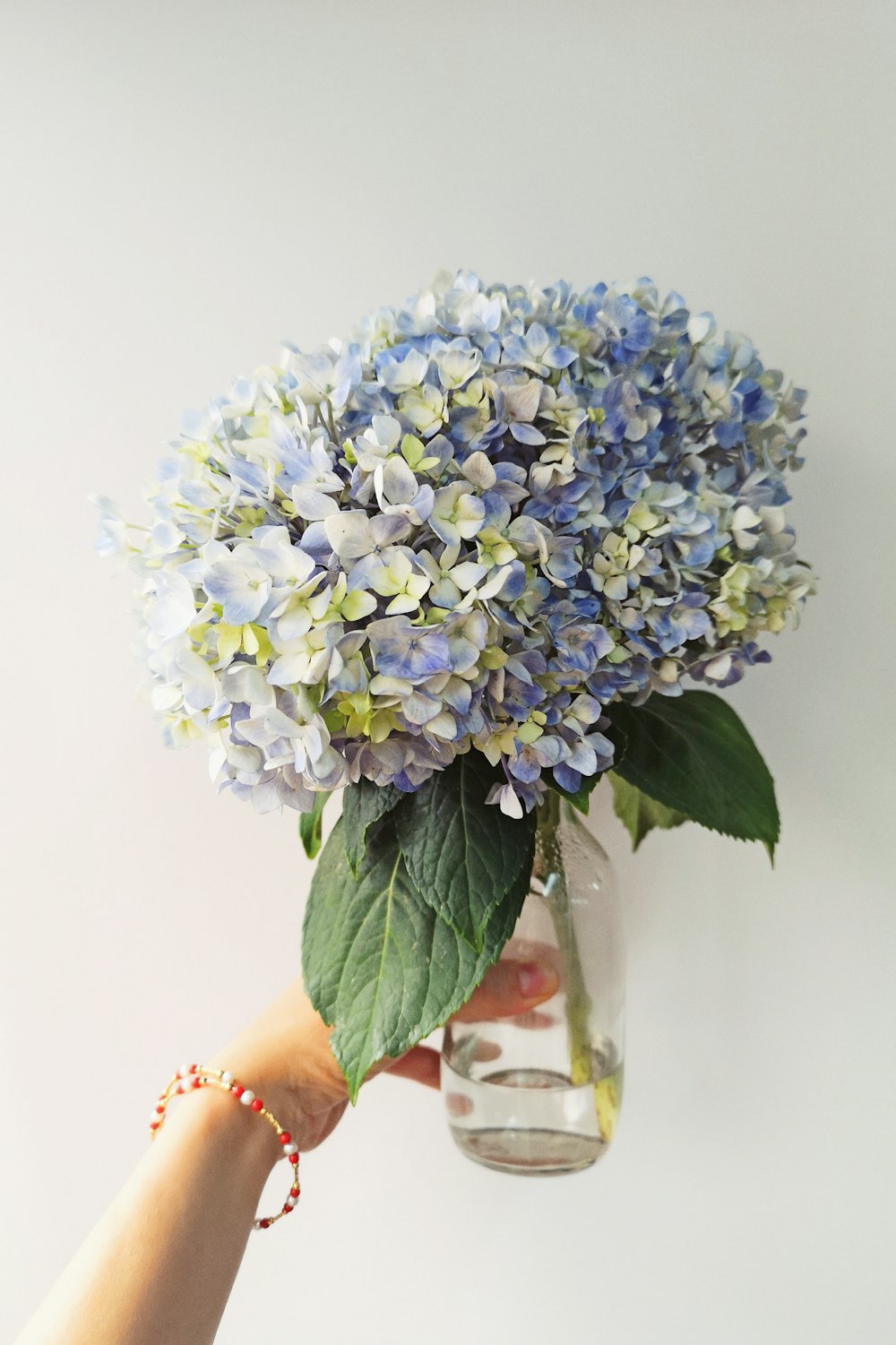 blue and white flowers in clear glass vase