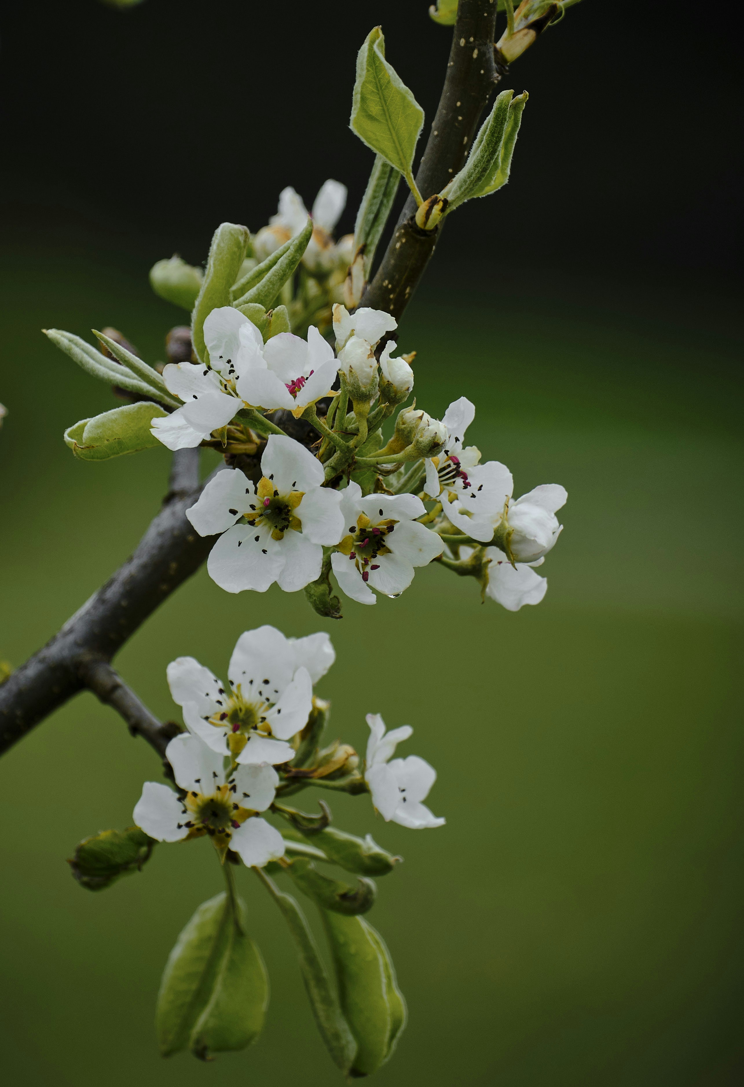 Photo by rolf_schmidbauer