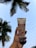 A hand with painted nails holds a tube of face wash with a background of a partly cloudy sky and palm tree leaves.