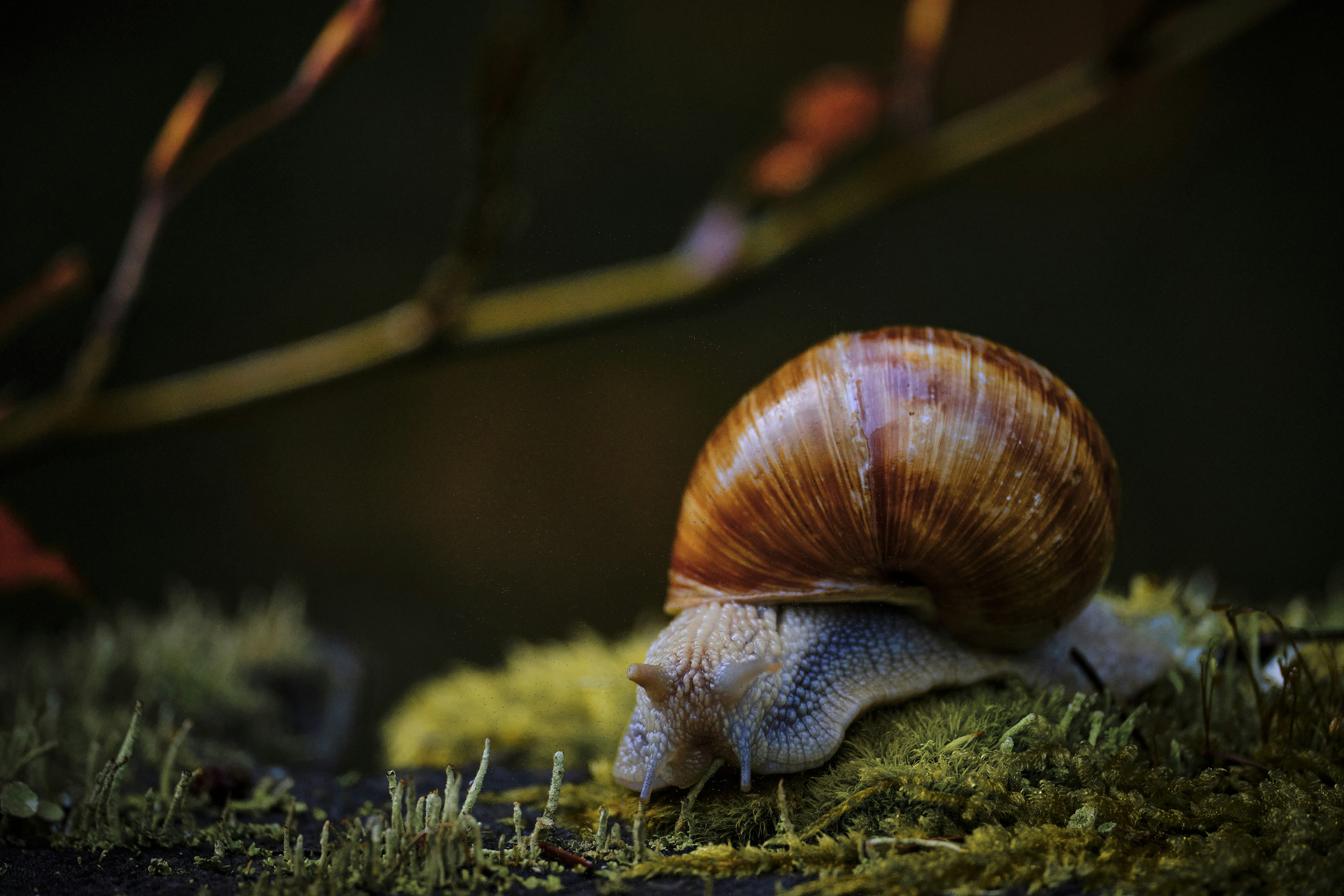 Toddler Trackers - Why Do You Want One?