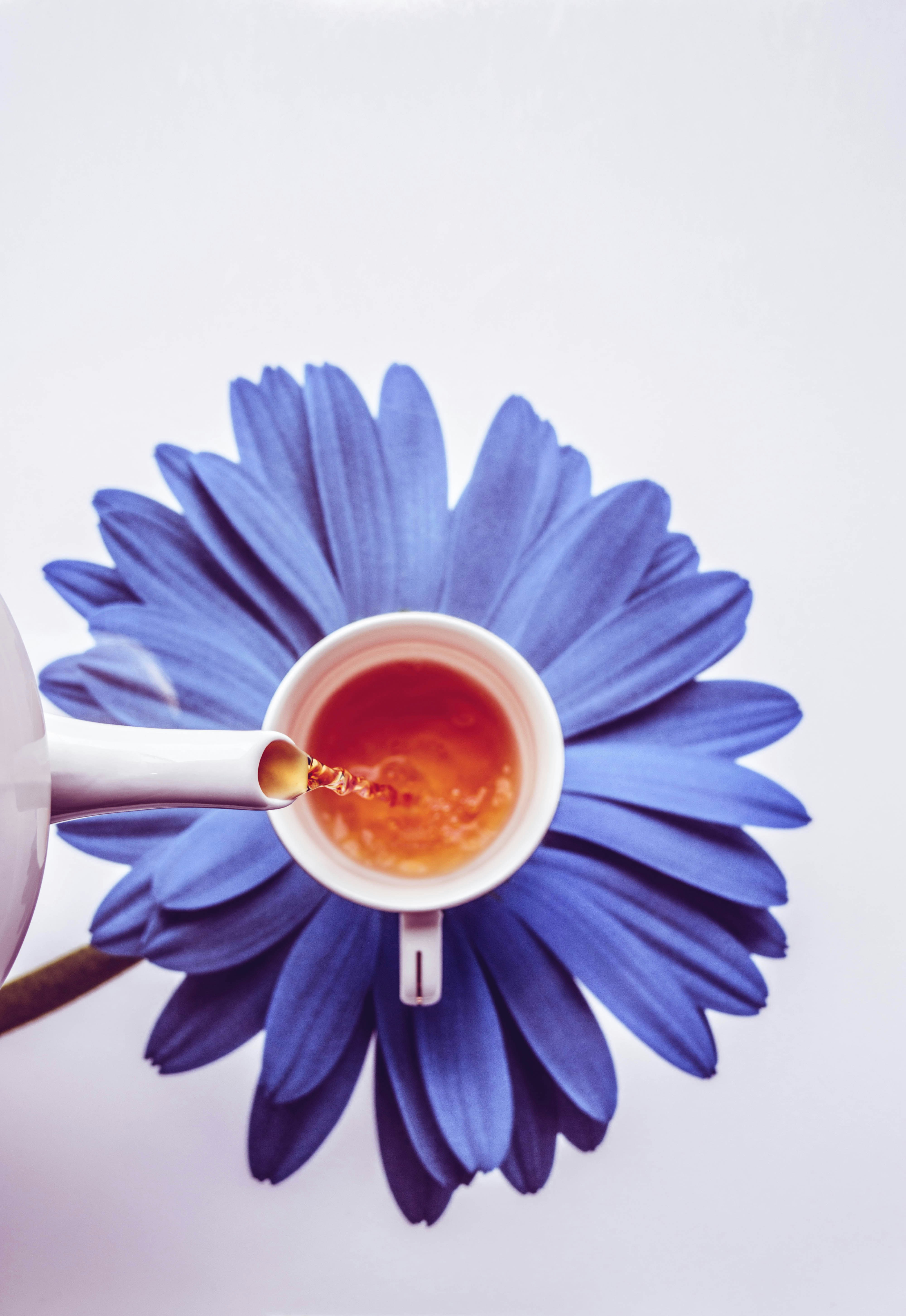 Photo by rajat_sarki