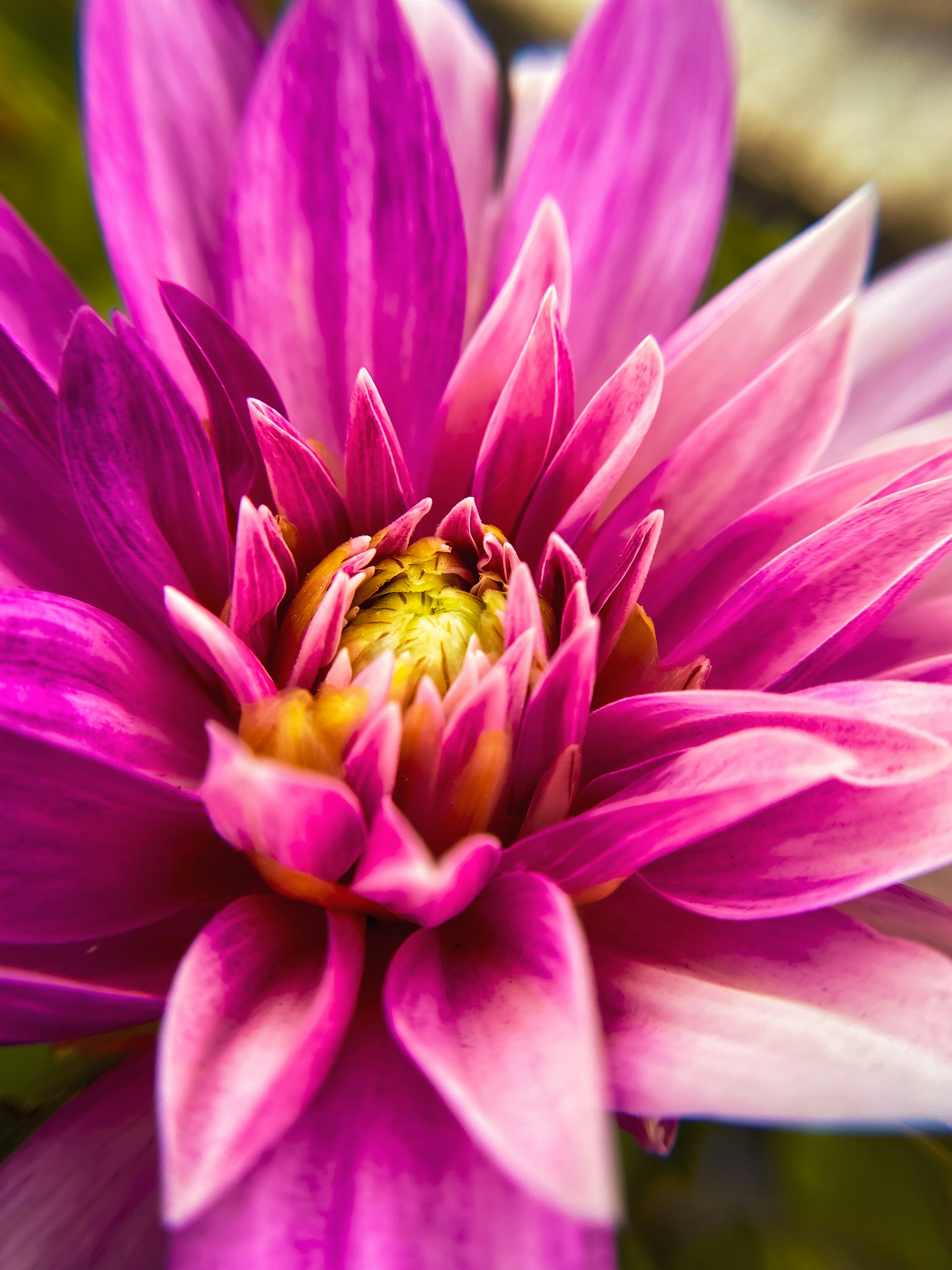 Photo by abhinavbasu