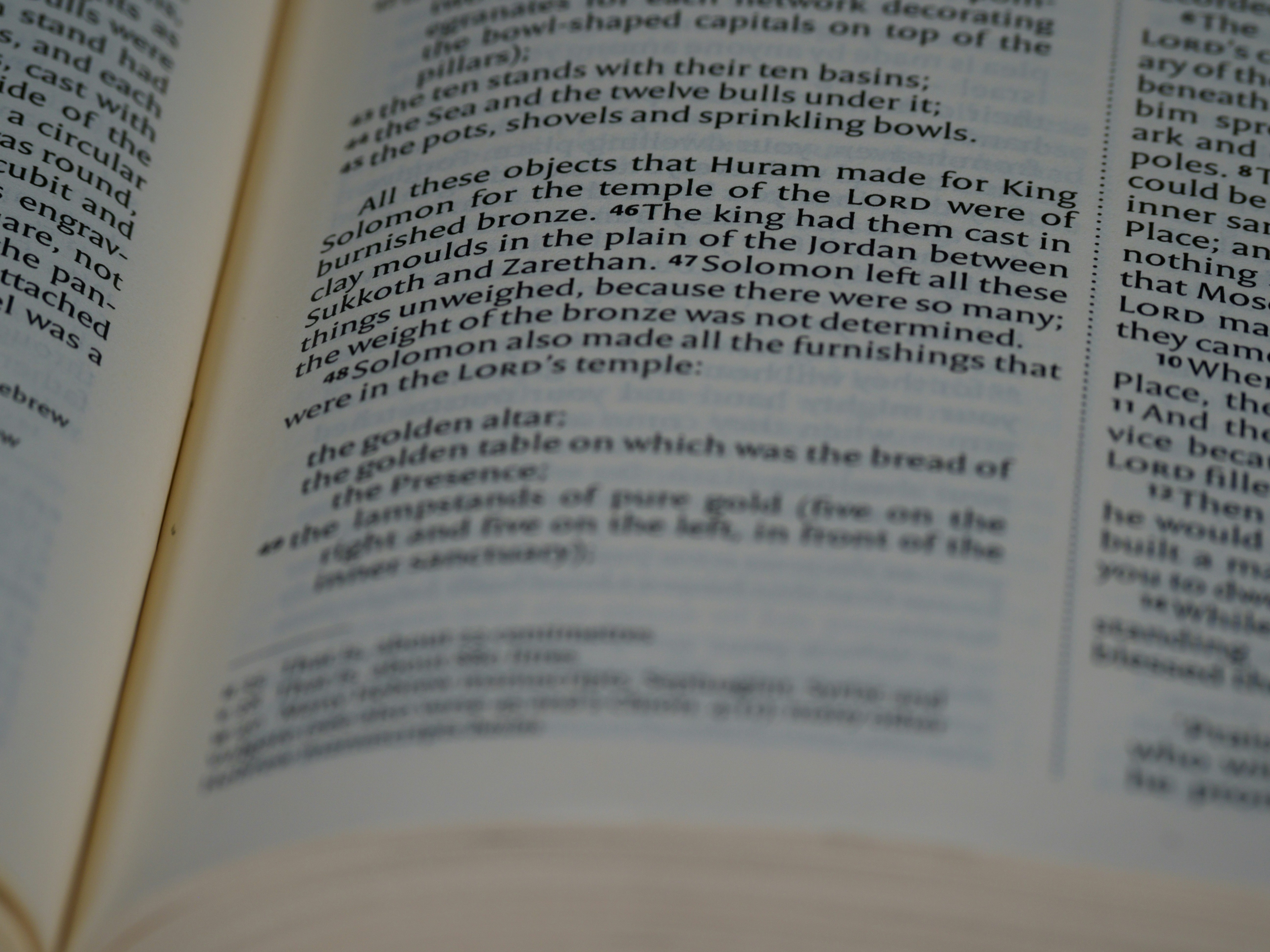 Photo by brett_jordan