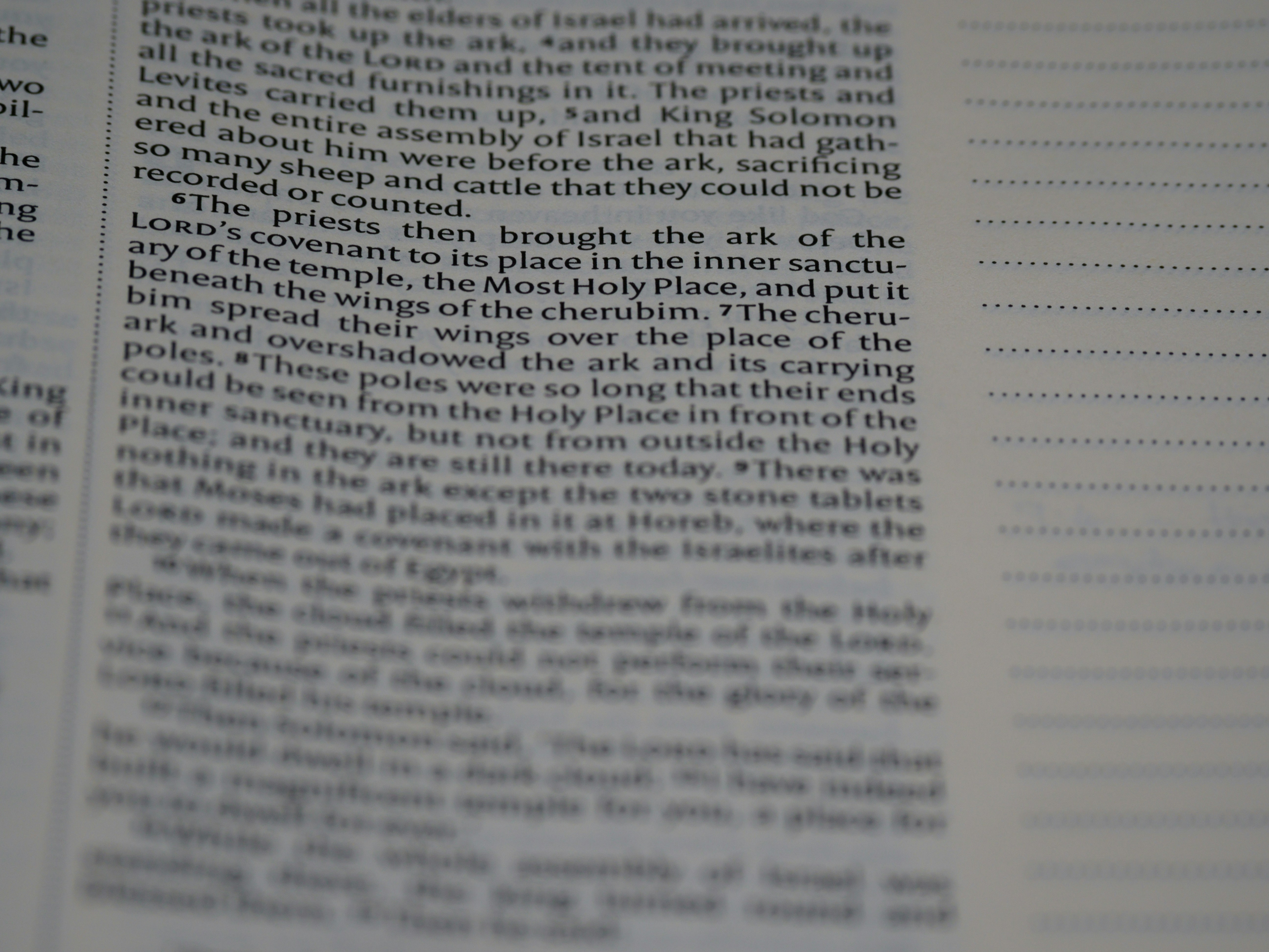 Photo by brett_jordan