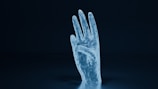 human hand with white background