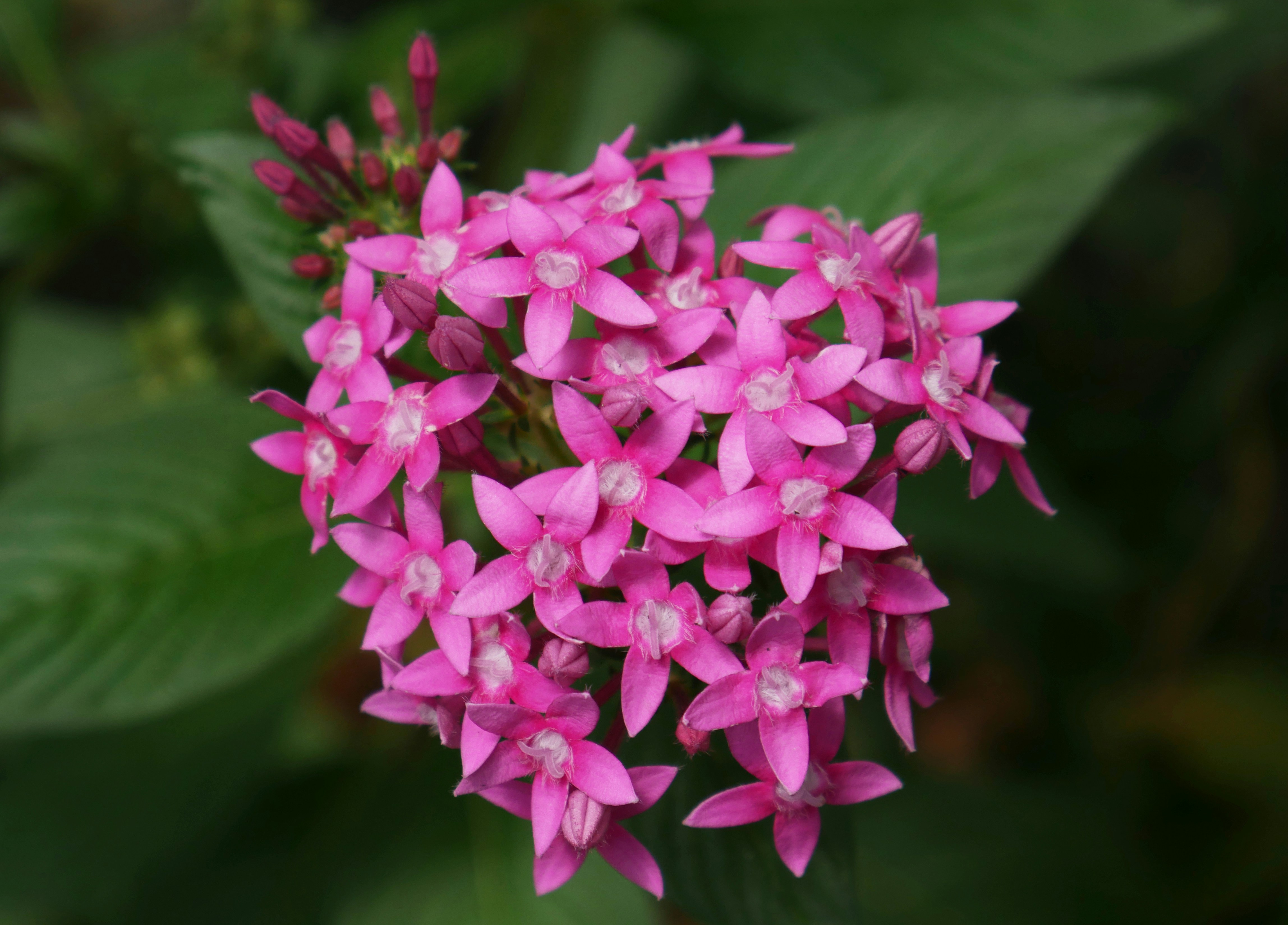 Photo by dark_matter_09