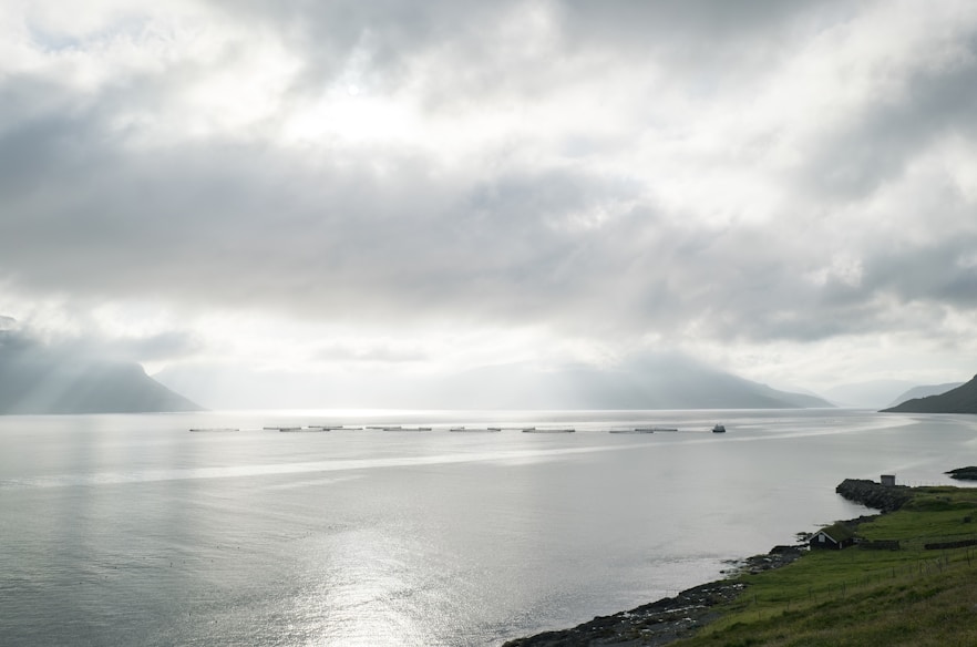 a modern scottish sea farm in calm weather