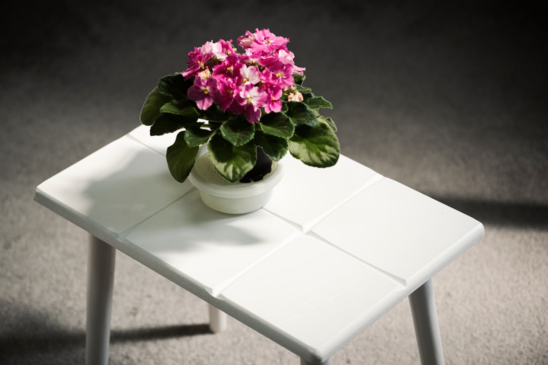 pink flowers on white table