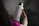 A person is holding a large, white water bottle with a metal cap. The word 'Alliance' is printed vertically on the bottle. The background is filled with green plant leaves, creating a natural setting. The person appears to be wearing a pink garment, and the lighting is dim, giving a soft and calm atmosphere.
