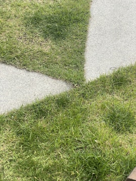 Close-up of a clean, newly installed concrete sidewalk bordered by green grass.
