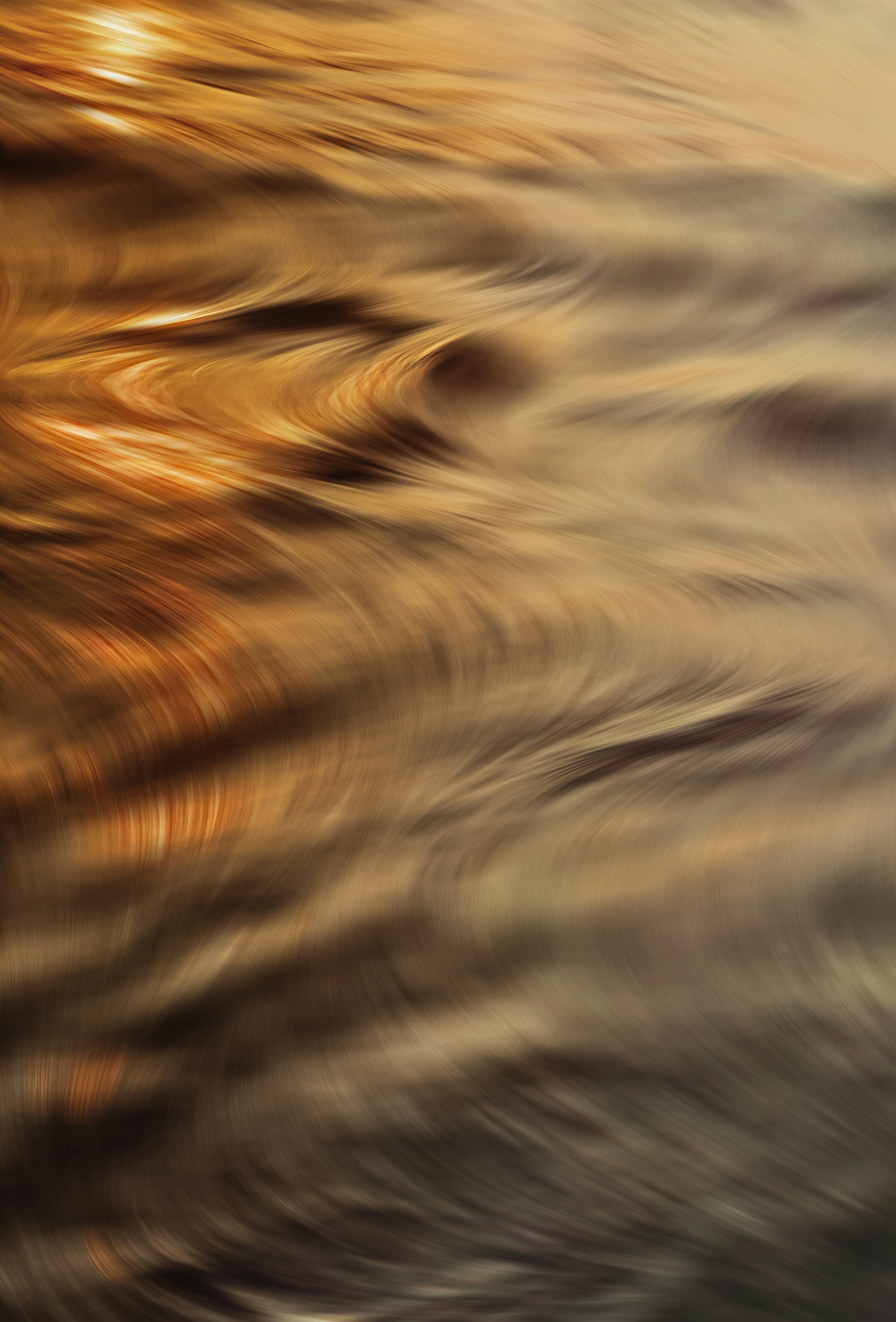 Photo by itsomidarmin