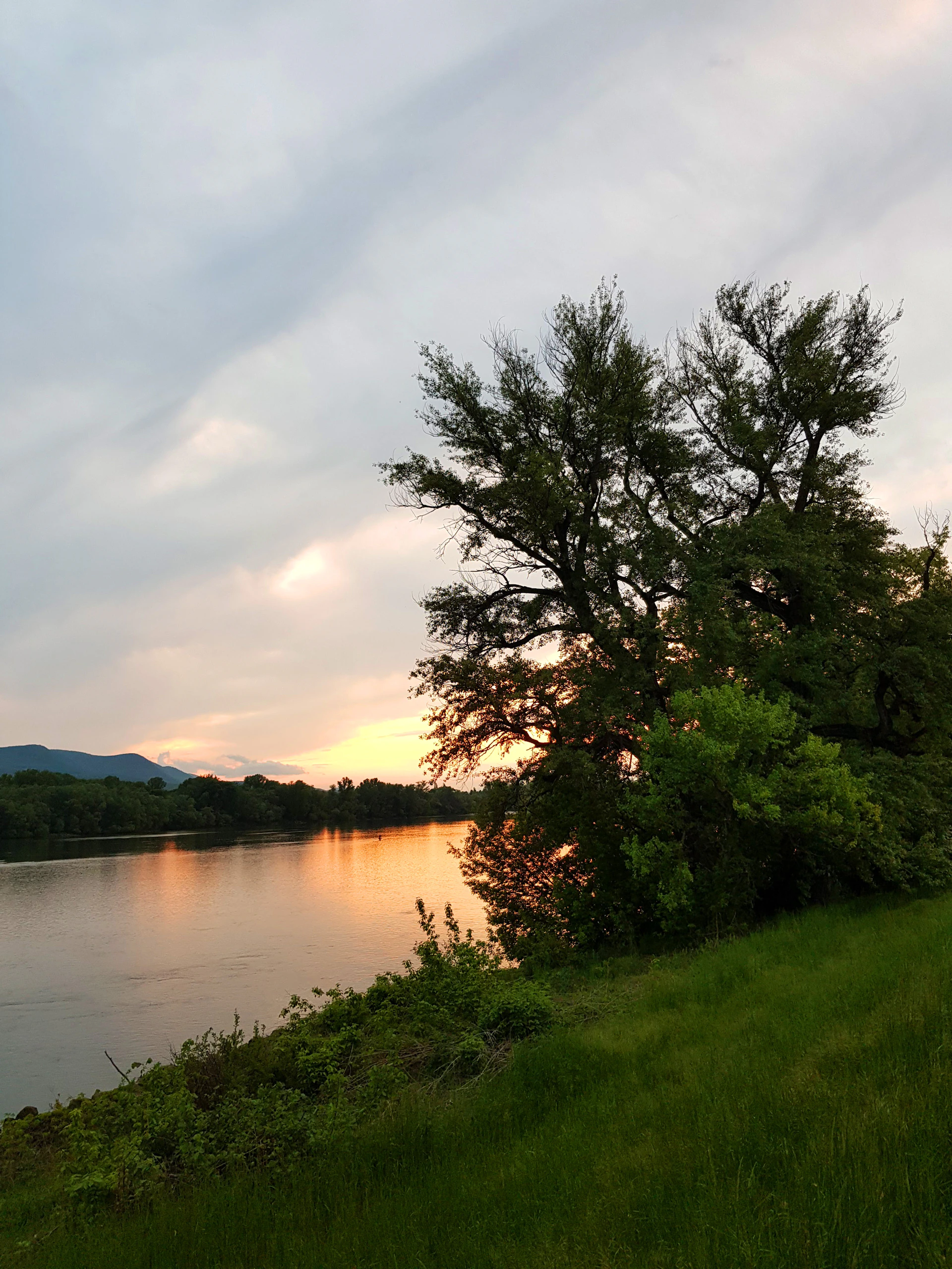 gray computer monitor