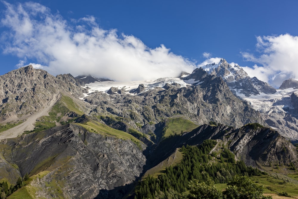 Grüne Bäume am Berg unter blauem Himmel tagsüber