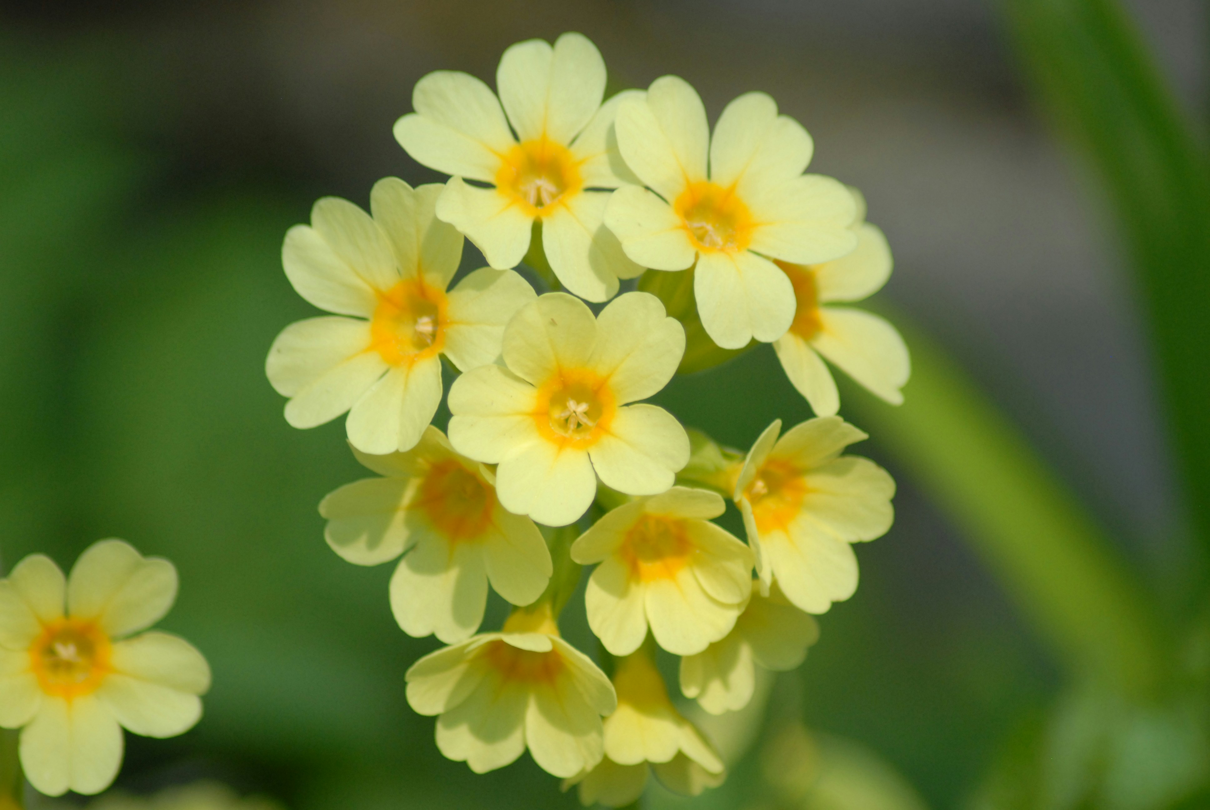 Abbey Alabi Abbey2 Unsplash Photo Community