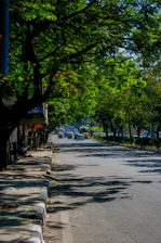 Volunteers planting trees along a city street in Maharashtra, bright with morning sunlight.