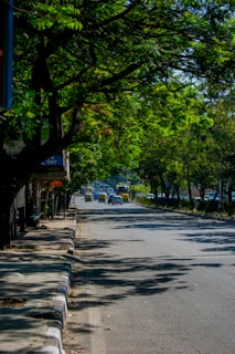 Indian residents walking along a clean, tree-lined street.