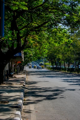Indian residents walking along a clean, tree-lined street.