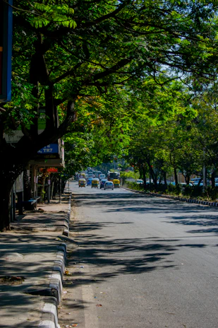 Volunteers planting trees along a city street in Maharashtra, bright with morning sunlight.