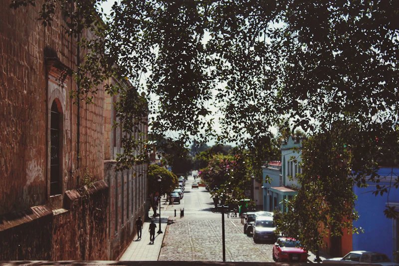 Best Walking Paths and Streets in Mexico City to Explore on Foot
