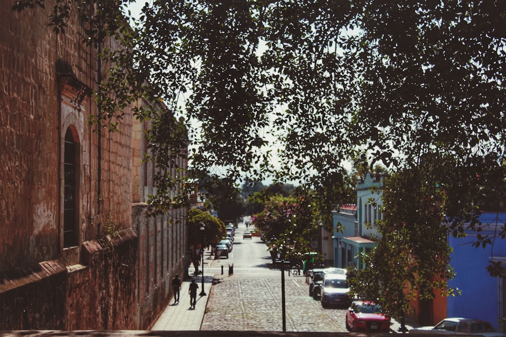 cars parked on sidewalk near trees during daytime