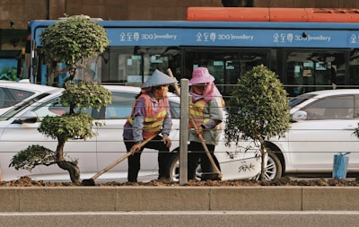 Two people wearing safety vests and hats are working on a roadside, engaging in landscaping or gardening activities. They are standing between well-maintained, trimmed bushes with a busy street in the background, including a parked white car and a blue bus.
