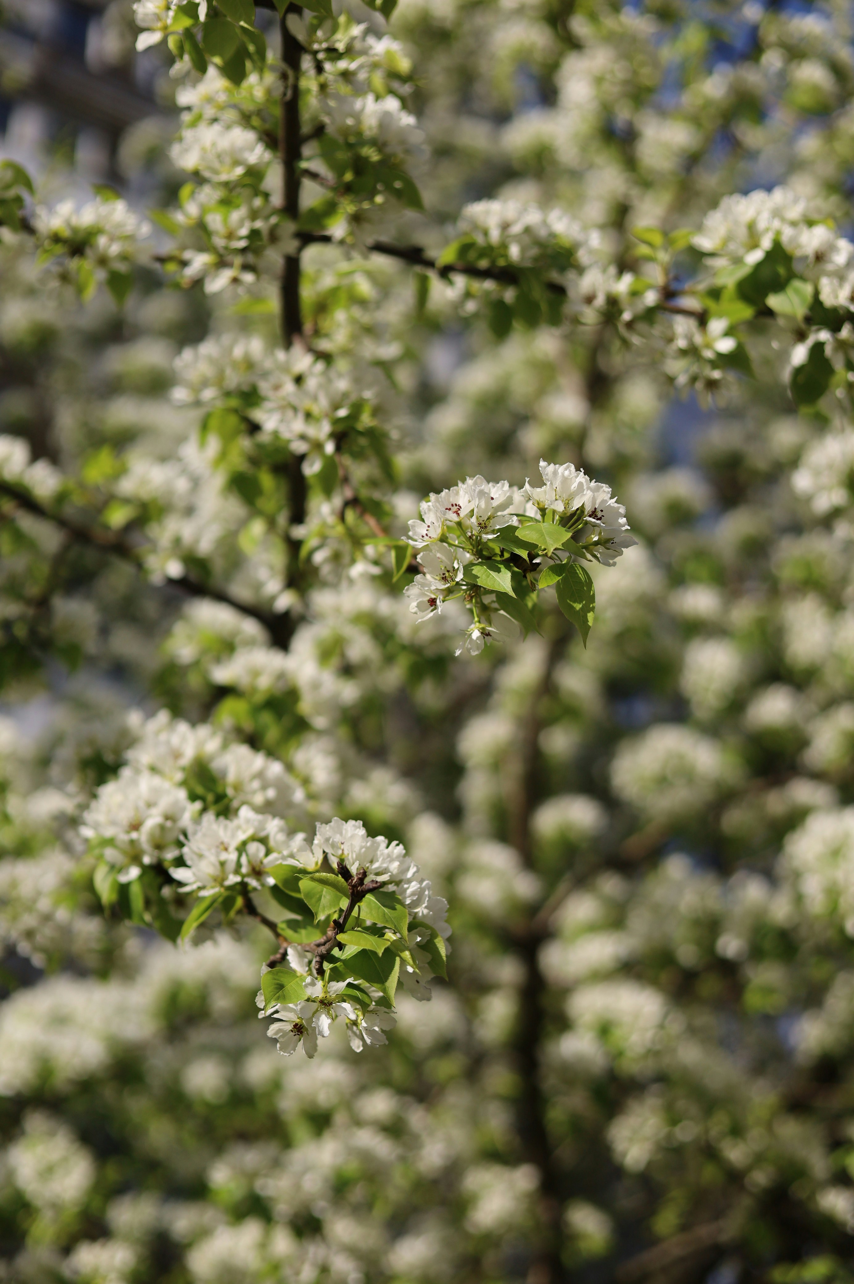 Photo by vvladimirovnna