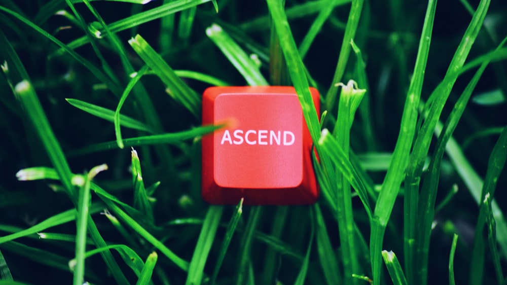 red and white plastic container on green grass